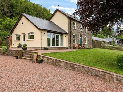 Picture 5